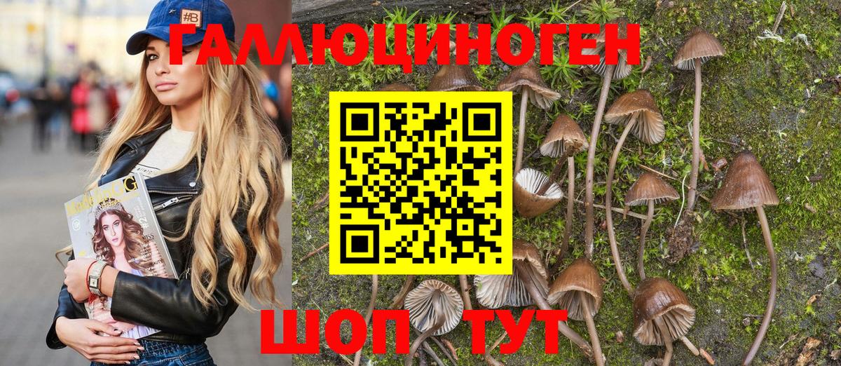 Балтийск  Псилоцибиновые грибы Magic Shrooms  Вход с VPN 