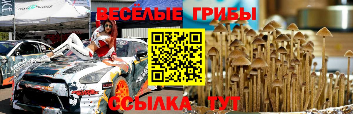 МЕФ   Вход с VPN  МАРИХУАНА  Экстази  Магазин наркотиков  Балтийск  ГАШ  Бошки Шишки  КОКАИН 