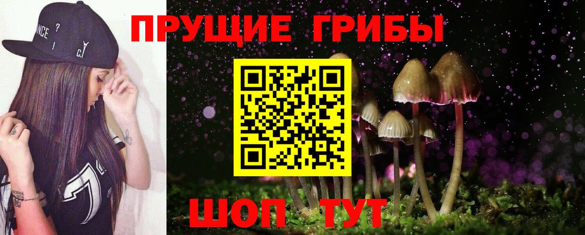 Псилоцибиновые грибы Magic Shrooms Балтийск